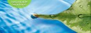 home-banner-1