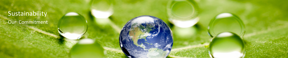Wafe Sustainability